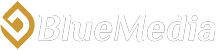 شركة بلو ميديا
